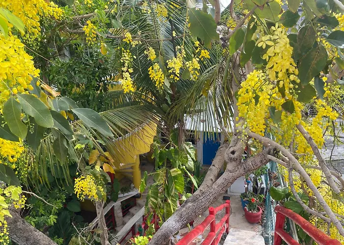 Maison 3* Tulum
