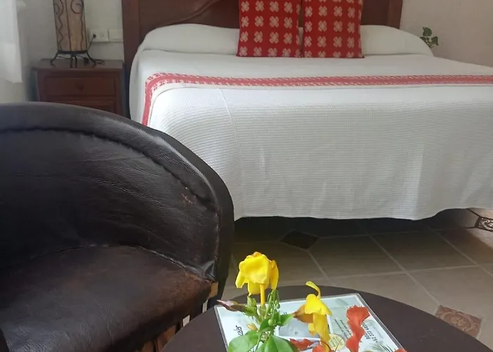 Hotel Maison 3*