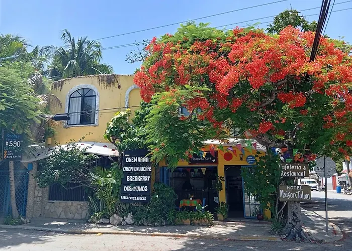 Hotel Maison 3*