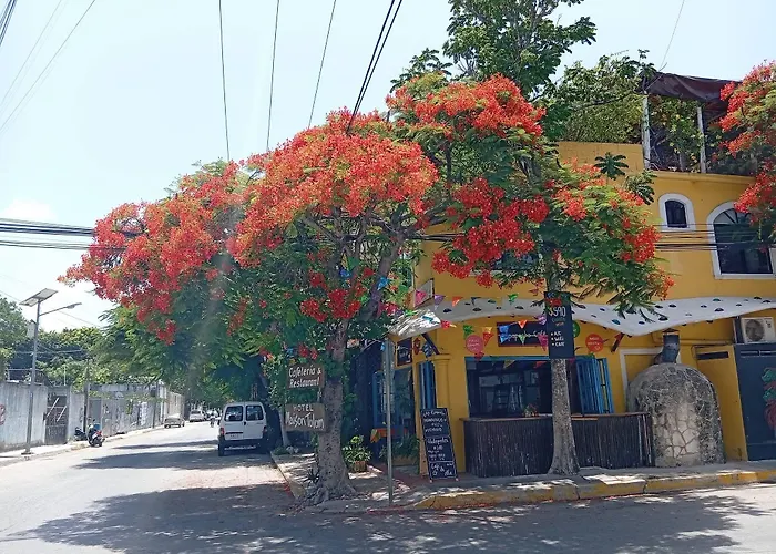 Hotel Maison 3*